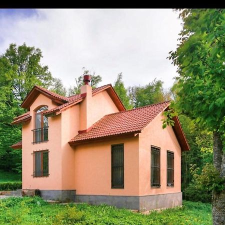 Dilijan Dream House! 3 Bedroom Amazing Villa In National Park! Buitenkant foto