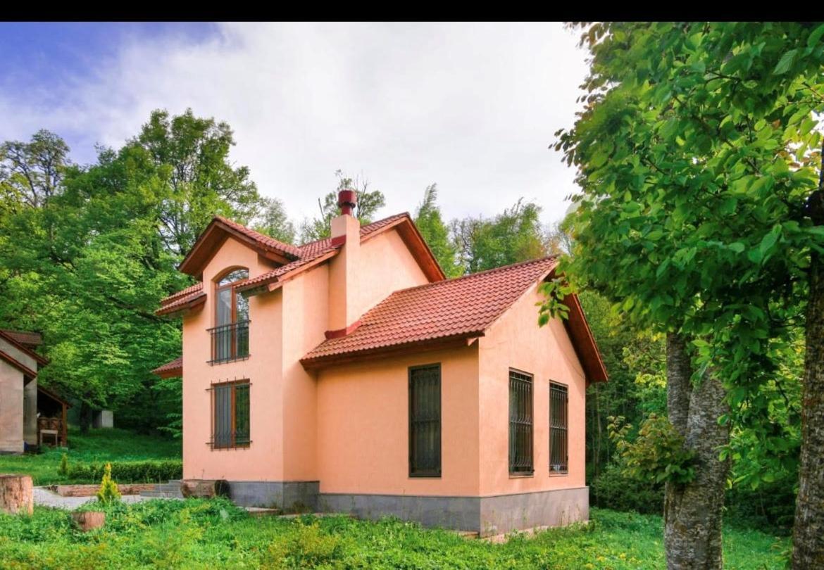 Dilijan Dream House! 3 Bedroom Amazing Villa In National Park! Buitenkant foto