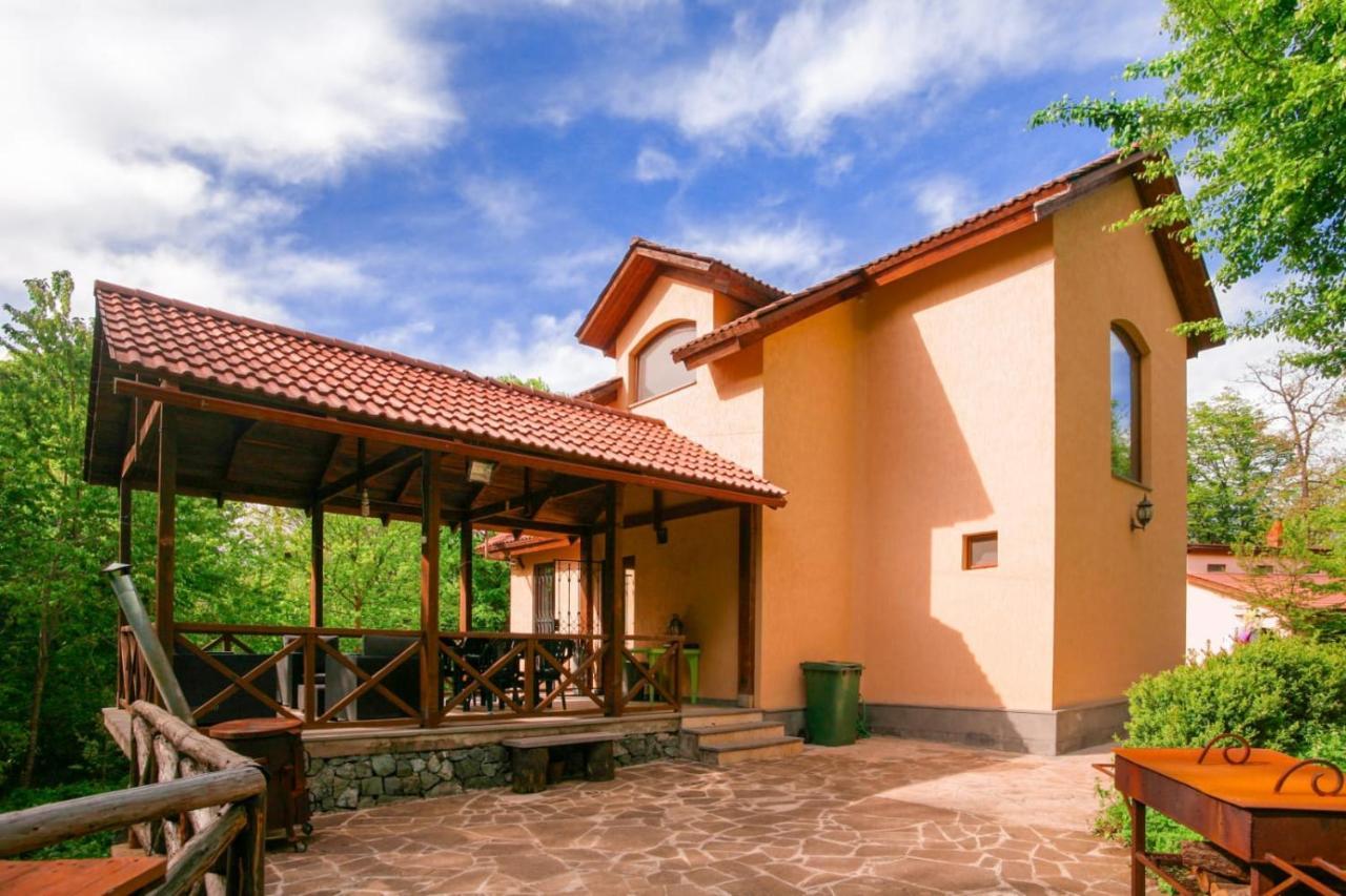 Dilijan Dream House! 3 Bedroom Amazing Villa In National Park! Buitenkant foto